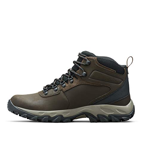 Best Hiking Shoes