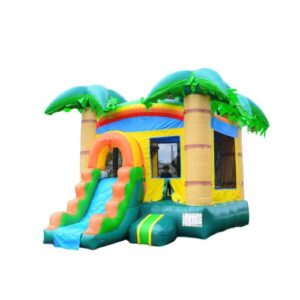 Best Bounce House