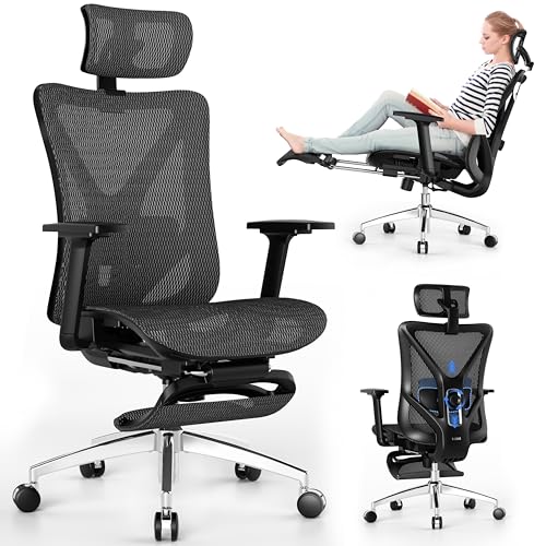 Ergonomic Desk Chair